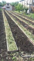 20160626_151603.jpg