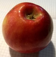 WP_20171207_18_38_47_Pro.jpg