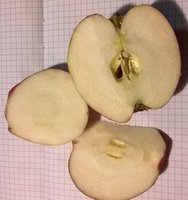 WP_20171207_18_41_48_Pro.jpg