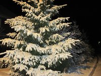 IMG_7183-2.jpg
