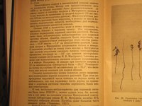 Исаев-1.jpg