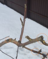 IMG_7227.JPG