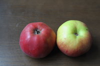 DSC_4379.JPG