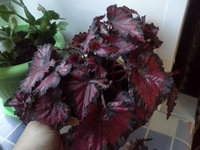20171227_104214.jpg