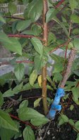 2017-09-12-194.jpg