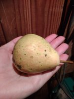 Лада.Одна из самых крупных.