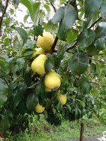 IMG_20170906_161421.jpg