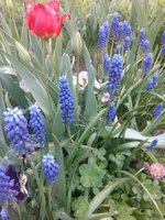 IMG-20160608-WA0006.jpg