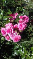20170925_121815_resized.jpg