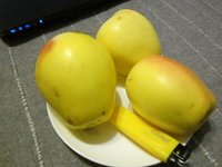 IMG_4831.JPG