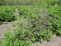 IMG_0402-min.jpg