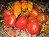 IMG_4355.JPG