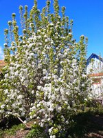 2017-05-19 10.40.42.jpg