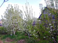 2017-05-19 17.49.26.jpg