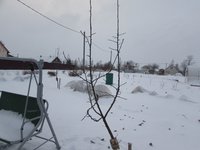 IMG_4722.jpg