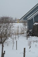 2 чижовская 18.jpg