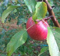 IMG_20170930_114136.jpg