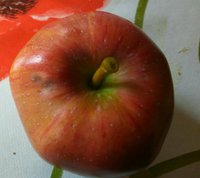 IMG_20170930_113723.jpg