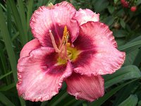 IMG_20130722_204927.jpg