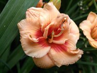 IMG_20130722_205059.jpg