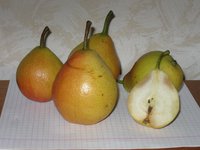 IMG_0949.JPG