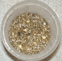 DSCN0224.JPG