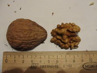 DSC05436.JPG