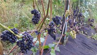 20150905_165051.jpg