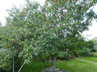P1020224.JPG