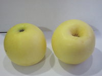 IMG_7190.JPG