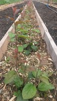 20160614_065936.jpg