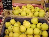 IMG_7210.JPG