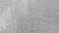 20180204_120358.jpg