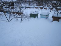 IMG_7220.JPG