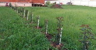 20160824_193035.jpg