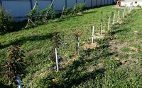 20170528_173444.jpg