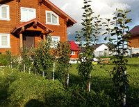 20170909_172248.jpg