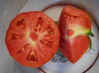 DSCN1327р.jpg
