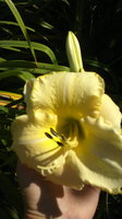 2013-08-01-610.jpg