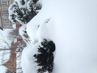 IMG_6785.JPG