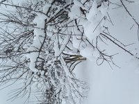 IMG_6784.JPG