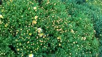 P_20171015_163202.jpg