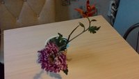 P_20171114_122432.jpg