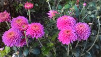 P_20170909_182039.jpg