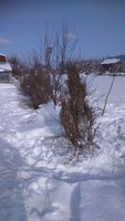 IMG-20180214-WA0016.jpeg