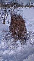 IMG-20180214-WA0014.jpeg