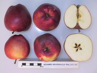 Richared Delicious.jpg