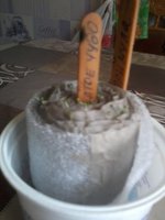 20170308_100247.jpg