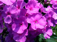 IMG_20130803_142448.jpg