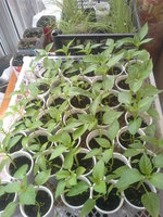 20160416_094325.jpg